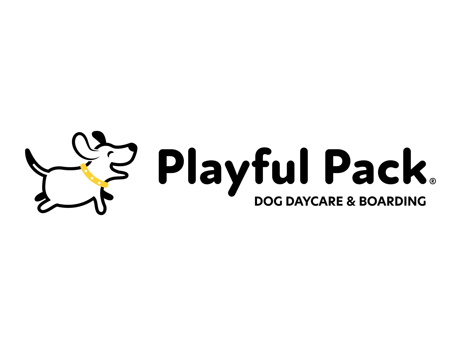 Dog Daycare and Boarding in Washington, DC - Playful Pack